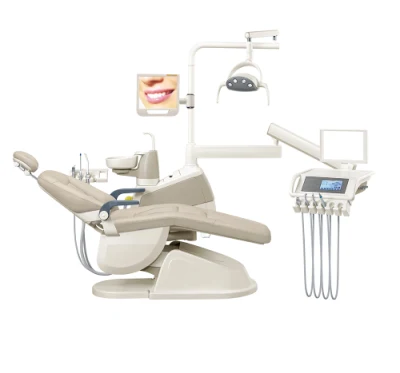 Humanization Design FDA Approved Dental Chair Basic Dental Equipment/Dental Waterline Cleaner        /Dental Chair Suction Unit